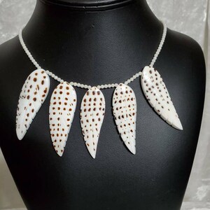 Carved Spotted Seashell and Coral Necklace