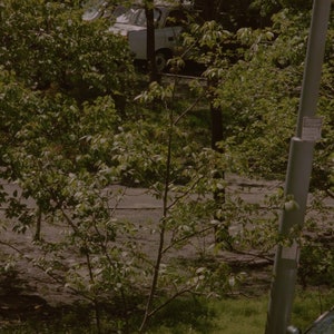 May include: A view of a street scene with a white car parked on the side of the road. The car is partially obscured by trees and foliage. A street lamp is visible in the foreground.
