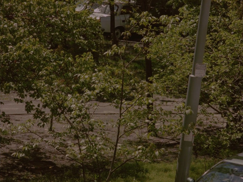 May include: A view of a street scene with a white car parked on the side of the road. The car is partially obscured by trees and foliage. A street lamp is visible in the foreground.