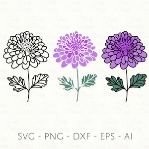Chrysantheme SVG PNG DXF November Geburt Blume Umriss Sublimation Aufkleber Datei