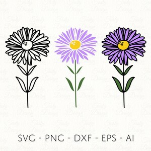 Aster SVG Septembre Naissance Fleur PNG Sublimation Decal Fichier