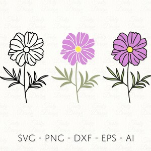 May include: Three line drawings of cosmos flowers. The first flower is in black outline, the second flower is in purple outline with a yellow centre, and the third flower is in purple with a yellow centre.