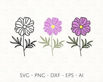 Cosmos SVG PNG DXF October Birth Month Flower Outline Silhouette Vector Printable File