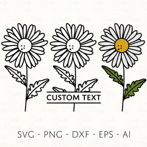 Daisy SVG abril mês de nascimento flor PNG arquivo de decalque de sublimação de moldura de nome dividido
