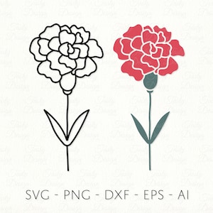 Anjer SVG PNG DXF januari geboorte bloem sublimatie decal vectorbestand