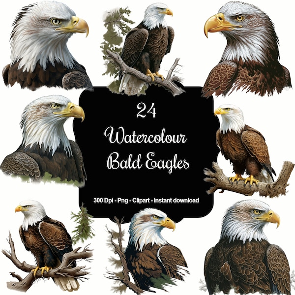 Majestic Skies: 24 Watercolour Bald Eagles Clipart Collection