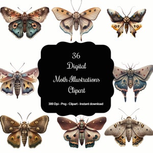 Mystic Moths: 36 digitale clipartcollectie nachtvlinders