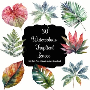 Tropical Tranquility: 30 Watercolour Tropical Leaves Clipart Set