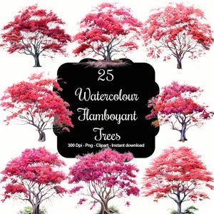 Flame of the Tropics: 25 Watercolour Flamboyant Tree Clipart Set