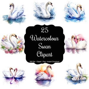 Serene Swans: 25 aquarel zwaan clipartsets