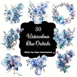Azure Blossoms: 30 set di clipart di orchidee blu acquerellate