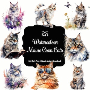 Maine coons majestueux : ensemble de 25 cliparts maine coon aquarelle