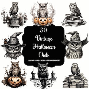 Mystic Nocturne: 30 vintage Halloween-uilen clipartcollectie