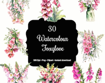 May include: 30 Watercolor Foxglove Clipart Images.  These digital illustrations feature pink and white foxglove flowers in various arrangements.  The images are 300 DPI and in PNG format.