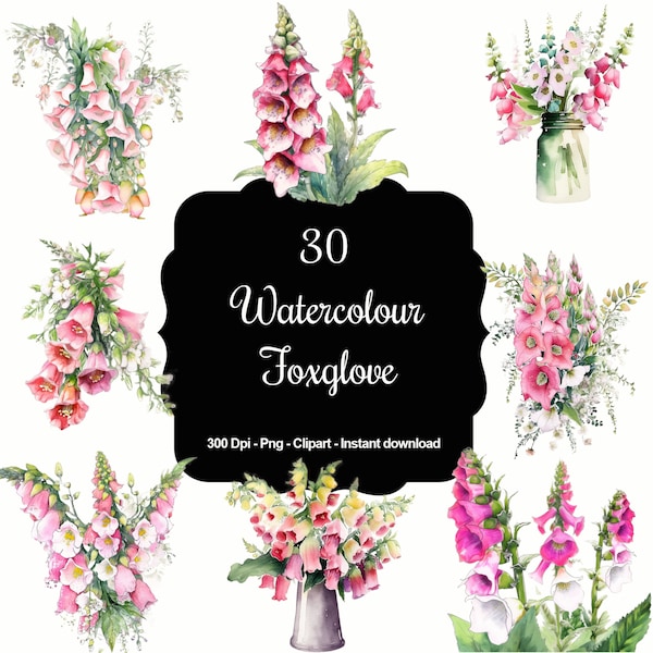 Whimsical Wildflowers: 30 Watercolour Foxgloves Clipart Collection