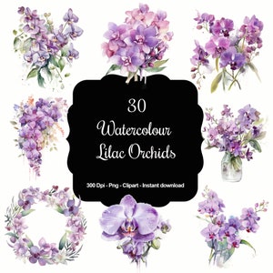 Flores etéreas: colección de imágenes prediseñadas de 30 orquídeas color lila en acuarela