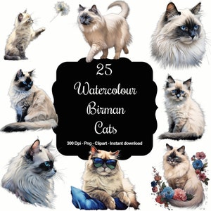 Birman Bliss : 25 cliparts aquarelles de chats de Birmanie