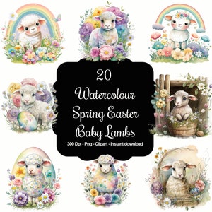 Whimsical Meadows: 20 Cute Watercolor Floral Lamb Cliparts