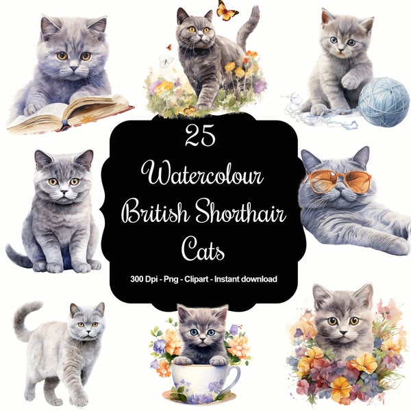 British Beauty: 25 Watercolor British Shorthair Cat Cliparts