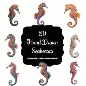 Caballitos de mar dibujados a lápiz en 20 colores, imágenes prediseñadas de alta calidad, descarga instantánea, 300 ppp, archivos PNG transparentes, uso comercial