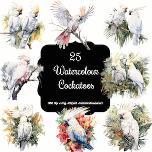 Sonnenbeschienene Kakadus Clipart Set