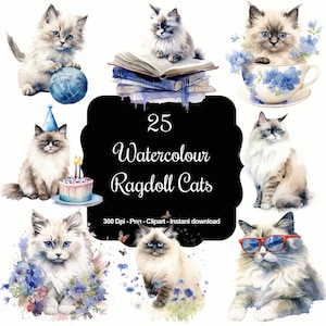 Moustaches soyeuses : 25 aquarelles de chats en ragdoll