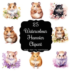 Hamster Hideaway: 25 Watercolour Hamsters Clipart Set