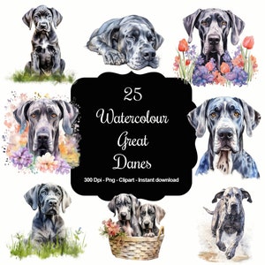 Gentle Giants: 25 Aquarell Deutsche Doggen Clipart Set