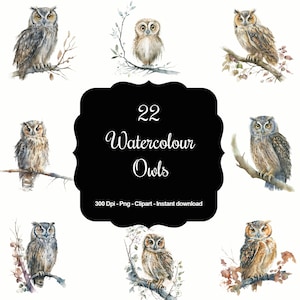 Midnight Whispers: 22 aquarel uilen clipartset