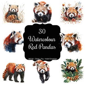 Breloque rouge rustique : ensemble de 30 cliparts aquarelles pandas roux