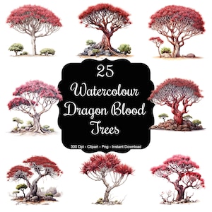 Corona del drago: set di 25 clipart di alberi di sangue di drago ad acquerello