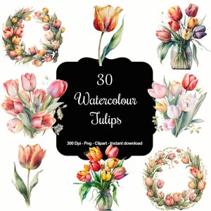 La elegancia de la primavera: Colección de imágenes prediseñadas de 30 tulipanes en acuarela
