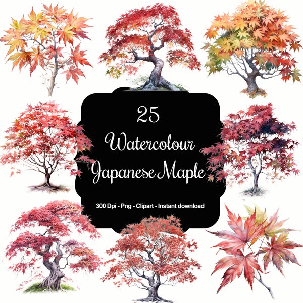 Crimson Elegance: 25 Watercolour Japanese Maple Tree Clipart Collection - Authentic and Artistic Images for Nature Lovers!