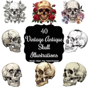 Ecos eternos: conjunto de imágenes prediseñadas de 40 ilustraciones de calaveras vintage