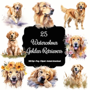 Pacote de clipart de 25 cães Golden Retriever em aquarela, clipart de alta qualidade, download instantâneo, 300 Dpi, arquivos PNG transparentes, uso comercial