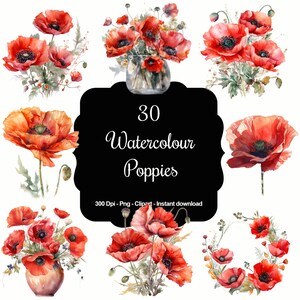 Scarlet Whispers: 30 Aquarell Mohnblumen Clipart Set