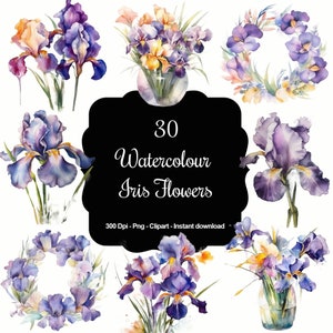 Enchanted Irises: 30 Watercolour Iris Flowers & Bouquets Clipart Set