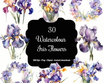 Enchanted Irises: 30 Watercolour Iris Flowers & Bouquets Clipart Set