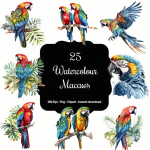 Tropical Macaw Parrots Watercolor Clipart Set 1 - 25 Watercolour, High-Resolution Digital Files, Instant Download