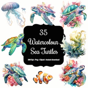 Rustige schildpadden: 35 aquarel schildpadden clipartset