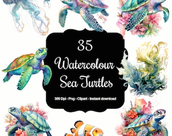 Tranquil Turtles: 35 Watercolour Turtles Clipart Set