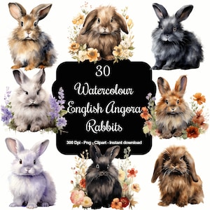 Floof & Flora: 30 Aquarell Englische Angora Kaninchen Clipart Set