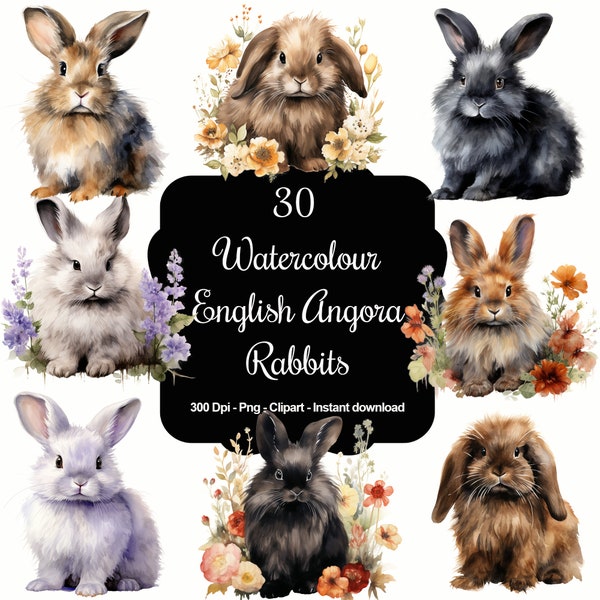 Floof & Flora: 30 Watercolour English Angora Rabbits Clipart Set