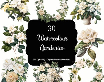 Gardenia Grace: 30 Watercolour Gardenias Clipart Set