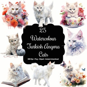 Grâce anatolienne : ensemble de 25 cliparts aquarelles de chats angoras turcs