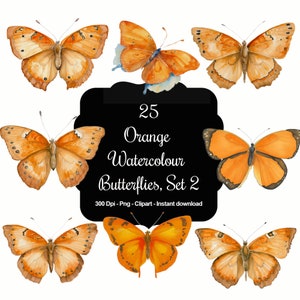 Citrus Flight Set 2: Coleção de clipart de borboleta aquarela laranja 25