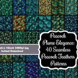 May include: 40 digital seamless patterns featuring peacock feathers in various shades of blue, green, and gold. Each pattern is 12 inches by 12 inches and 300 dpi.