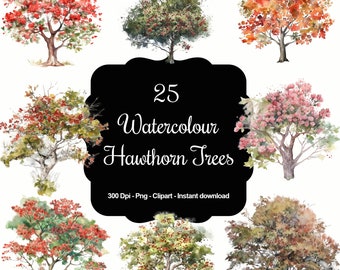 Whispering Hawthorns: 25 Watercolour Hawthorn Trees Clipart Collection - Ideal for Nature Artwork, Eco-Friendly Projects, & More!