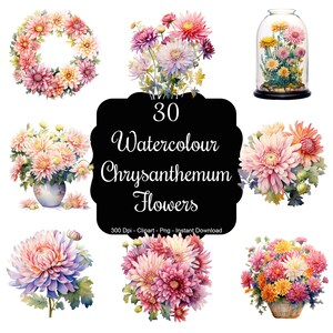 Chrysantheme Anhänger: 30 Aquarell Chrysantheme Blumen Clipart Set