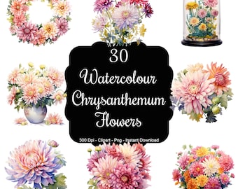 Encanto de crisantemo: Conjunto de imágenes prediseñadas de 30 flores de crisantemo en acuarela